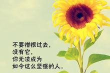 三字经儿歌歌词