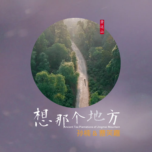 孙楠 - 想那个地方歌词