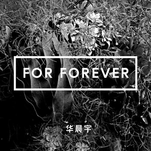 华晨宇 - For Forever歌词